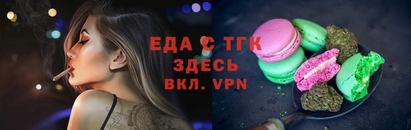 индика Тотьма