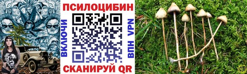 Галлюциногенные грибы GOLDEN TEACHER  Вихоревка 